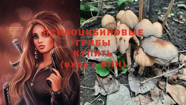 PSILOCYBIN Абинск