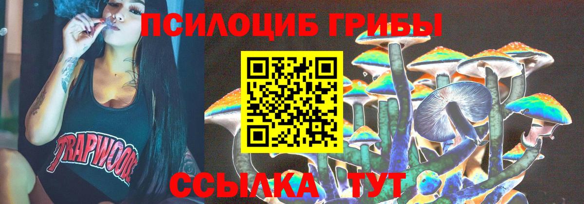 Псилоцибиновые грибы GOLDEN TEACHER  Галлюциногенные грибы прущие грибы  Альметьевск  Вход с VPN 