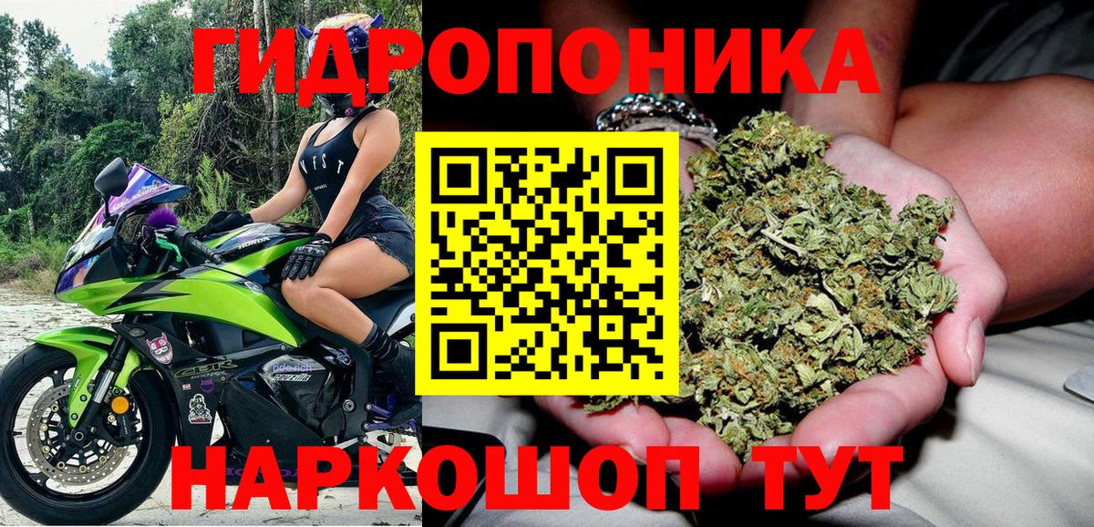 Бошки Шишки марихуана Альметьевск